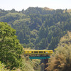 山間の橋梁