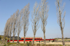 早春の小湊鉄道