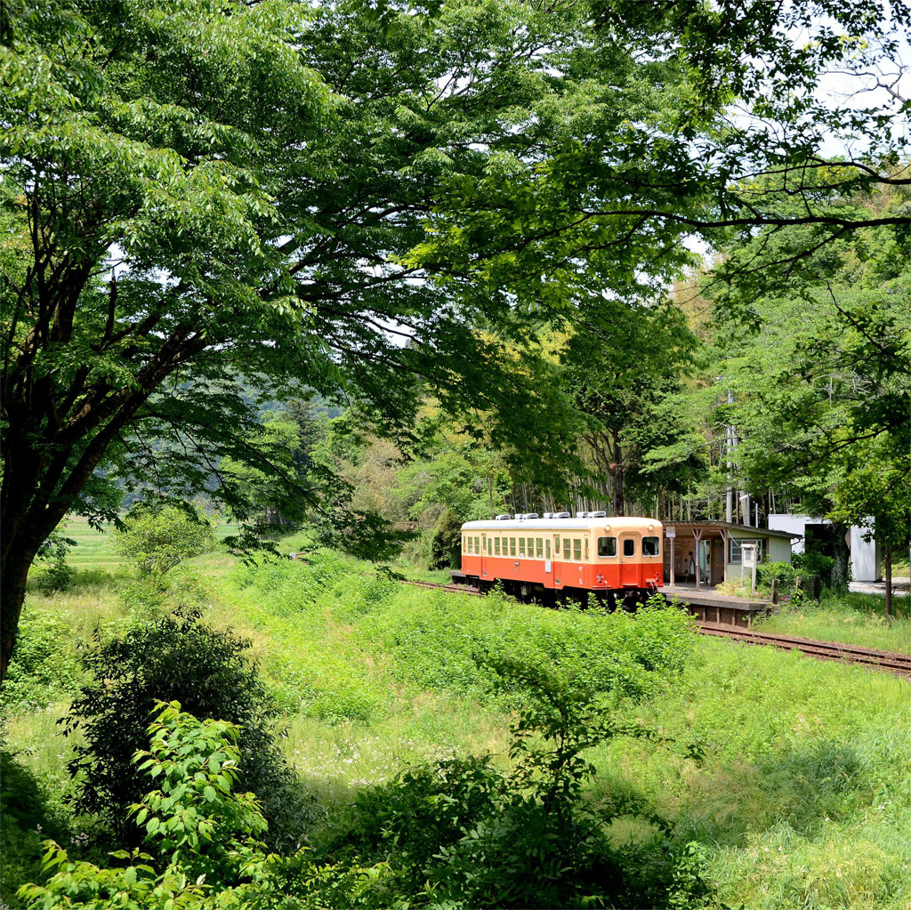 緑の中の駅