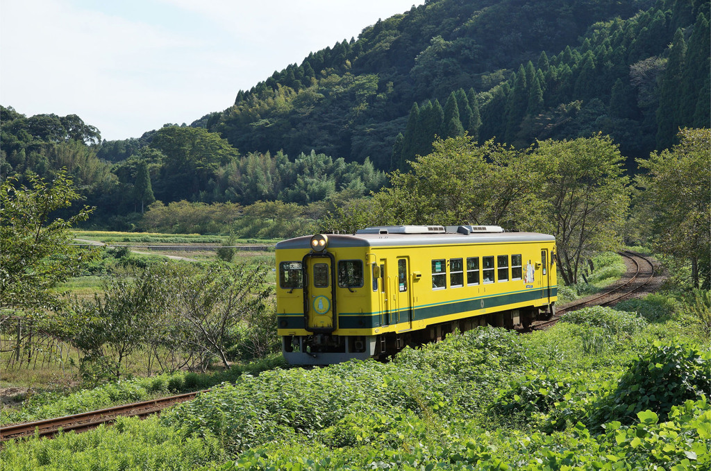 野山をゆく