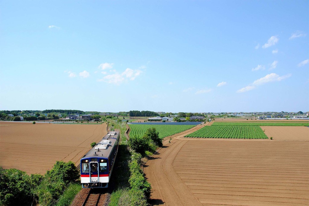 青空の下をゆく