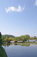 田植えの頃