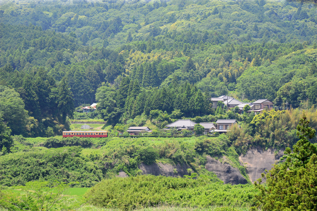 里山をゆく