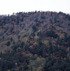 日光－金精峠０３_250mm