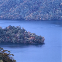 日光－半月山中腹０２_250mm