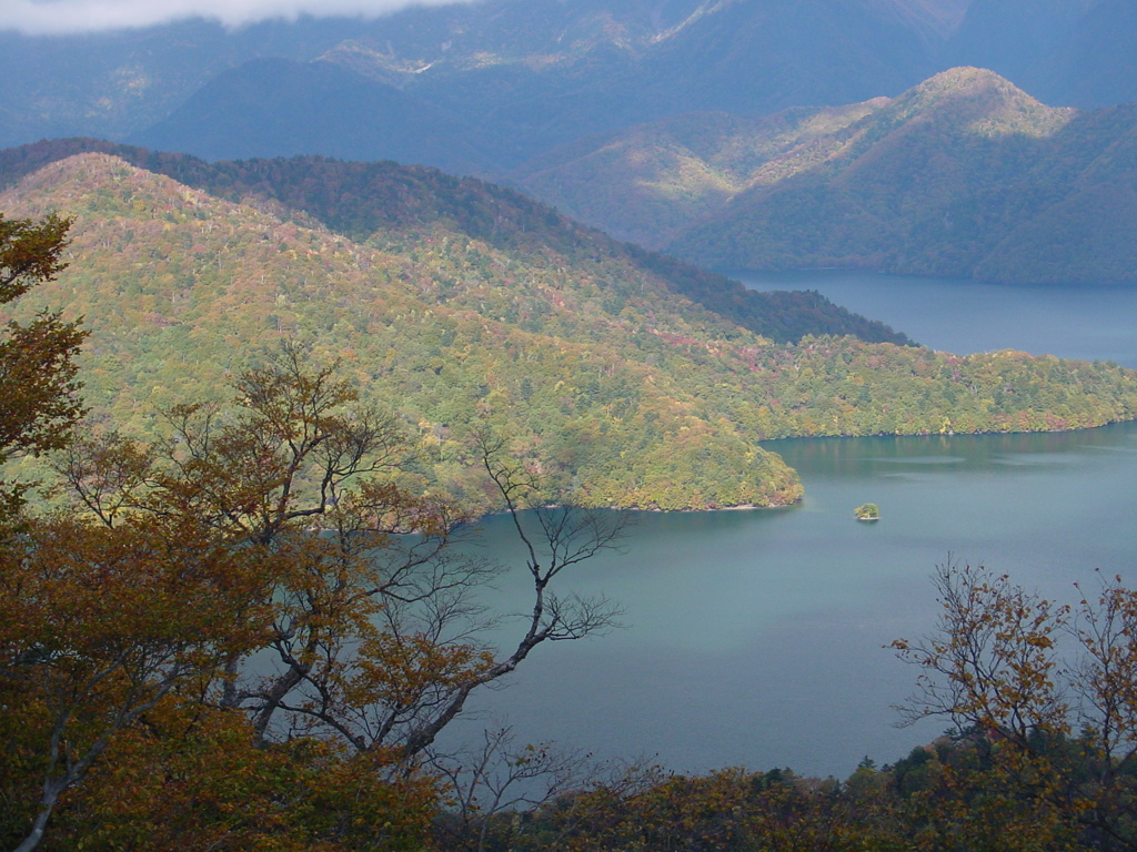 奥日光－半月山中腹１０