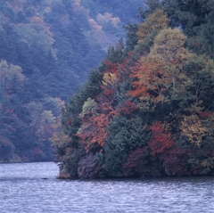 日光－湯ノ湖０９_250mm