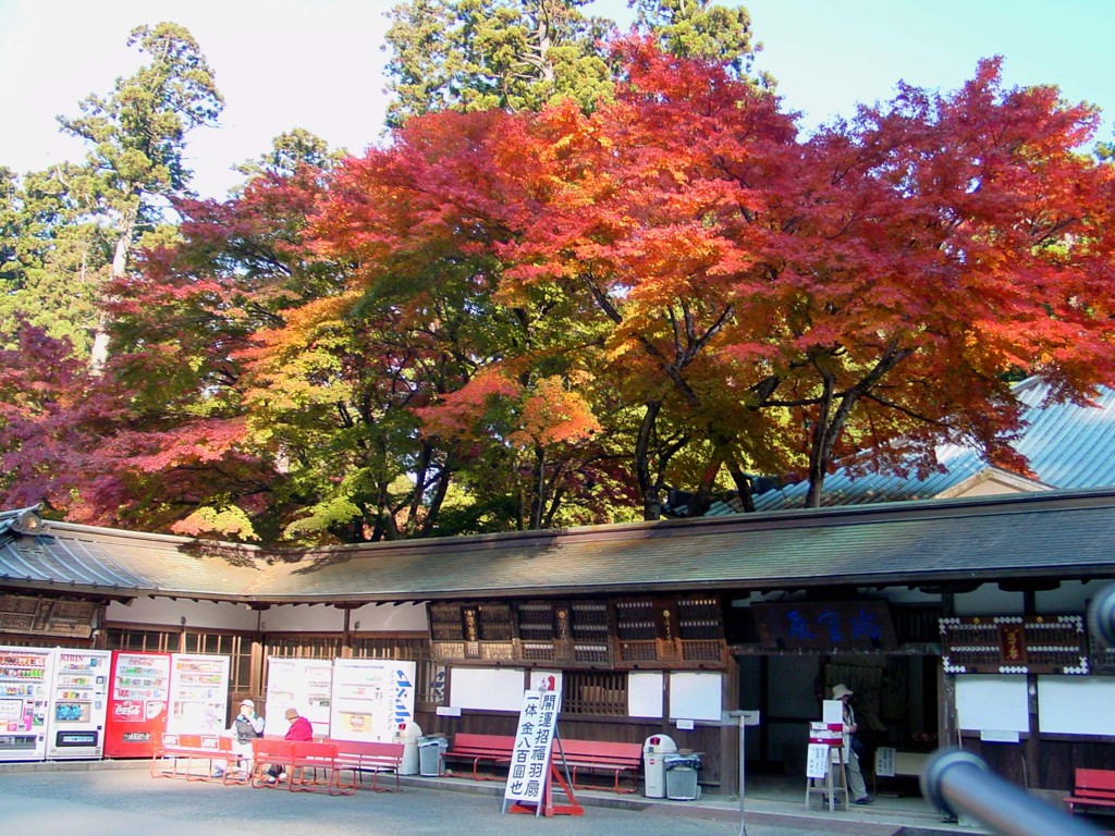 南足柄－大雄山１