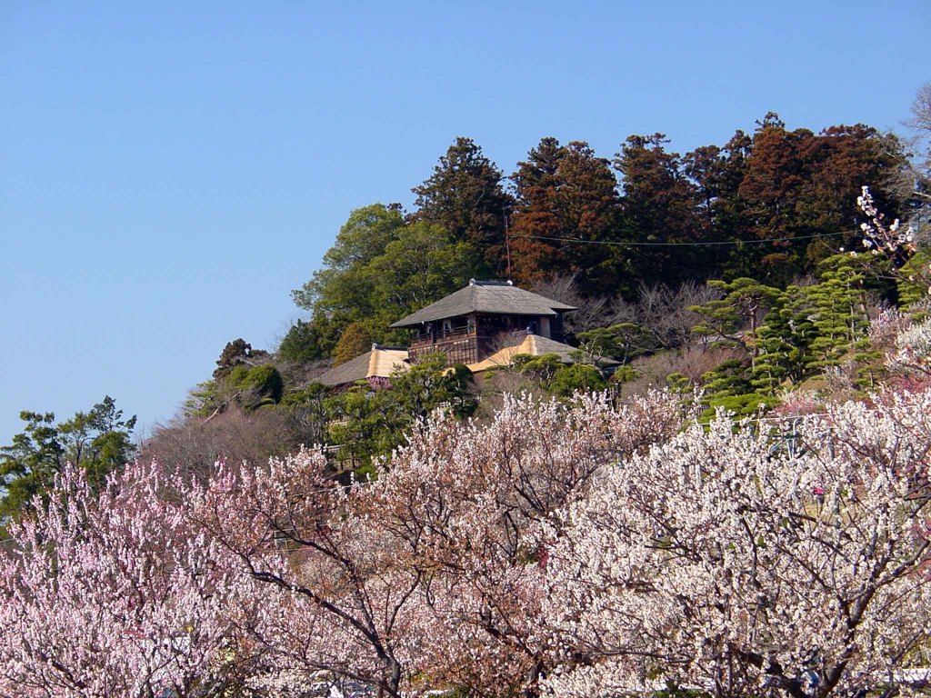 水戸－偕楽園６