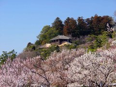 水戸－偕楽園６