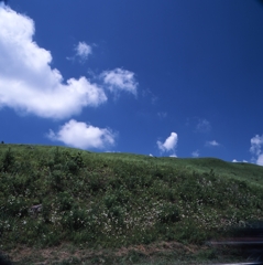 白樺湖－ビーナスライン０２_50mm