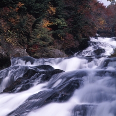 日光－竜頭ノ滝０３_250mm