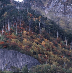 日光－金精峠０５_250mm