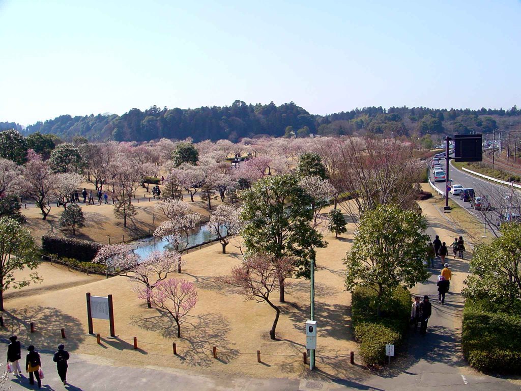 水戸－偕楽園２