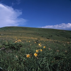 霧ヶ峰－車山０２_50mm