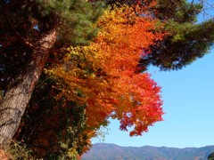 河口湖－湖北ビューライン１