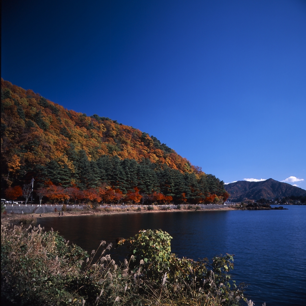 河口湖－湖畔０４_50mm