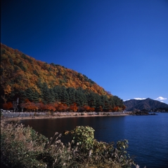 河口湖－湖畔０４_50mm
