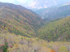 奥日光－半月山山頂３