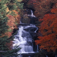 日光－竜頭ノ滝０２_250mm