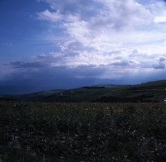 霧ヶ峰－車山０３_50mm