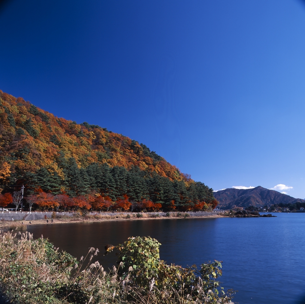 河口湖－湖畔０３_50mm