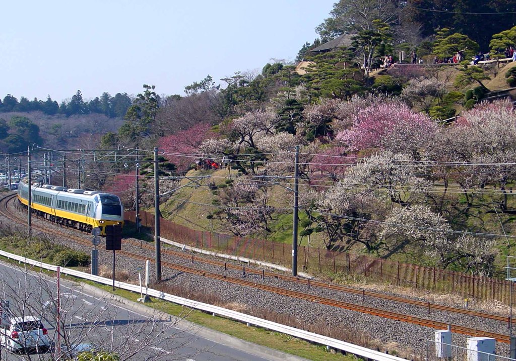 水戸－偕楽園３