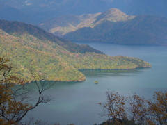 奥日光－半月山中腹１２