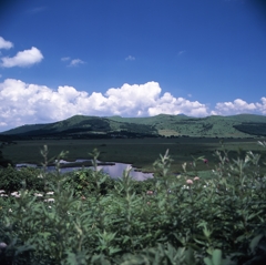 霧ヶ峰－八島ヶ原湿原０２_50mm