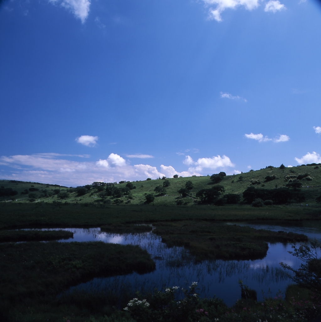 霧ヶ峰－八島ヶ原湿原０５_50mm