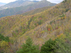 奥日光－半月山山頂２