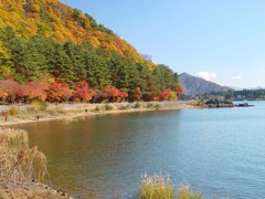 河口湖－湖北ビューライン３