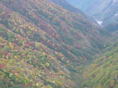 奥日光－半月山山頂４