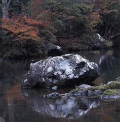 日光－湯ノ湖０１_250mm