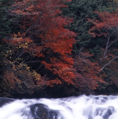 日光－竜頭ノ滝０５_80mm