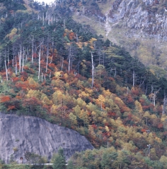 日光－金精峠０６_250mm