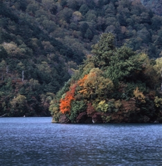 日光－湯ノ湖０６_250mm