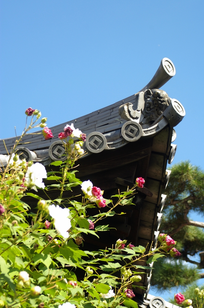 持光寺02