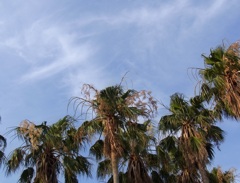 真夏日の空