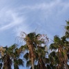 真夏日の空