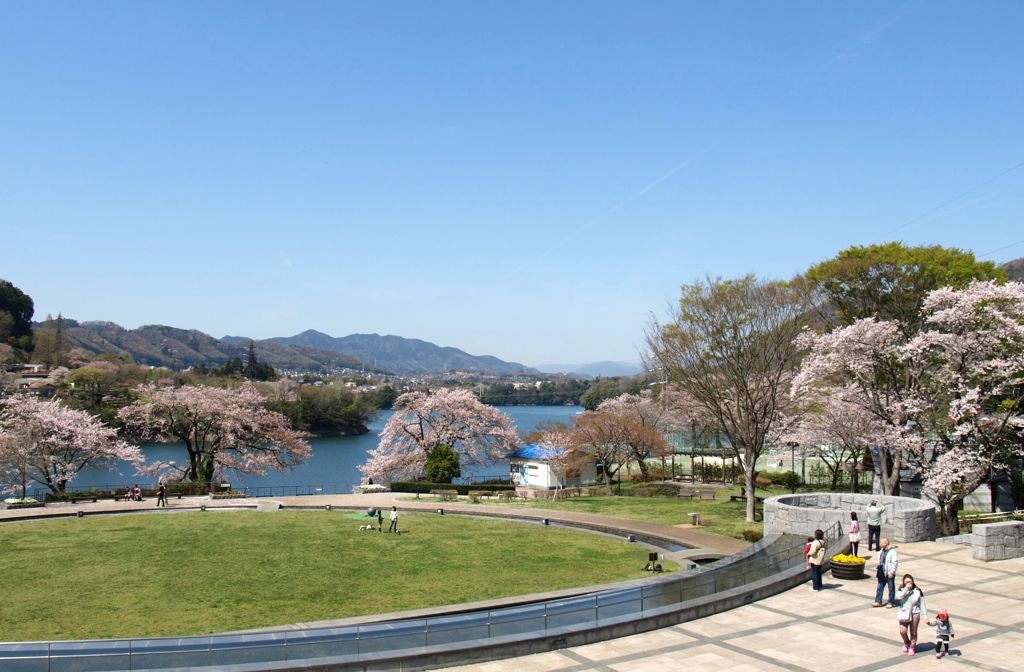 春の津久井湖