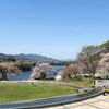 春の津久井湖