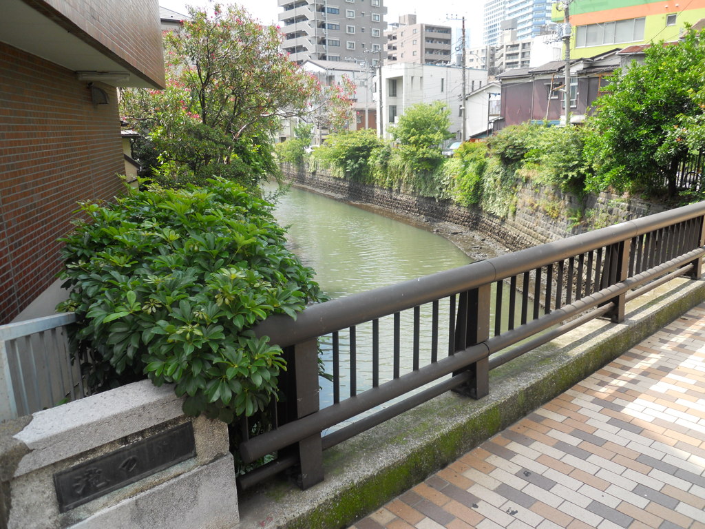 滝の橋（横浜市神奈川区）