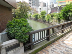 滝の橋（横浜市神奈川区）
