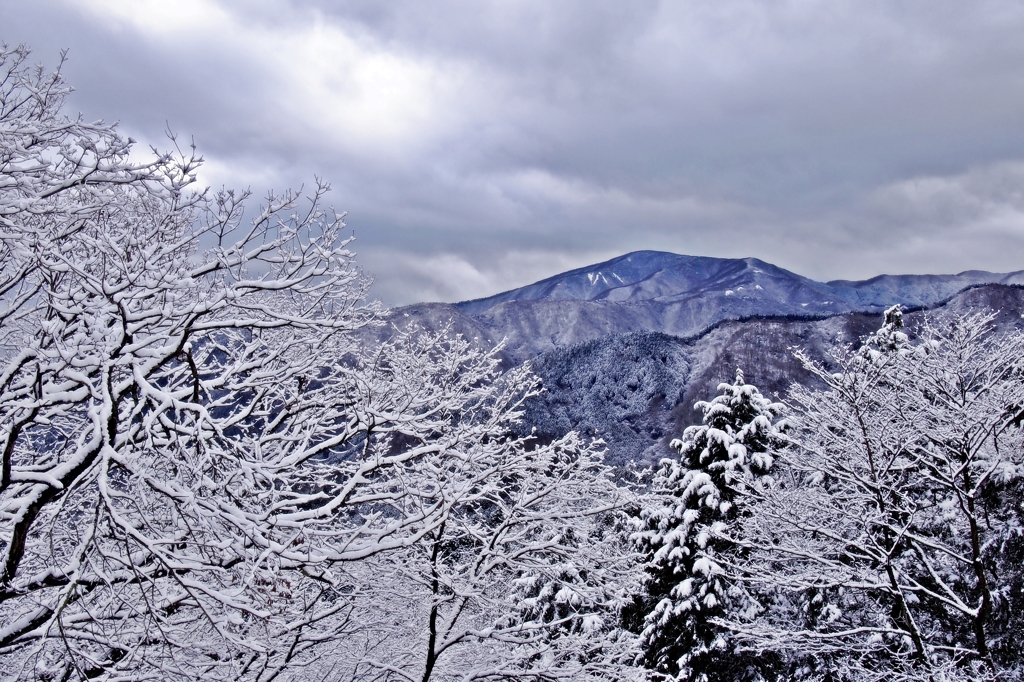 冬山