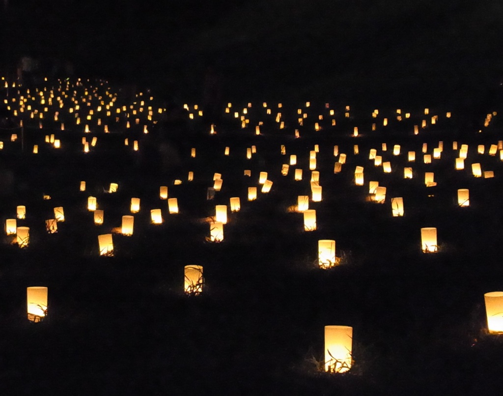 保土ヶ谷公園キャンドルナイト02