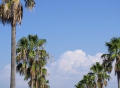 夏の空