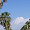 夏の空