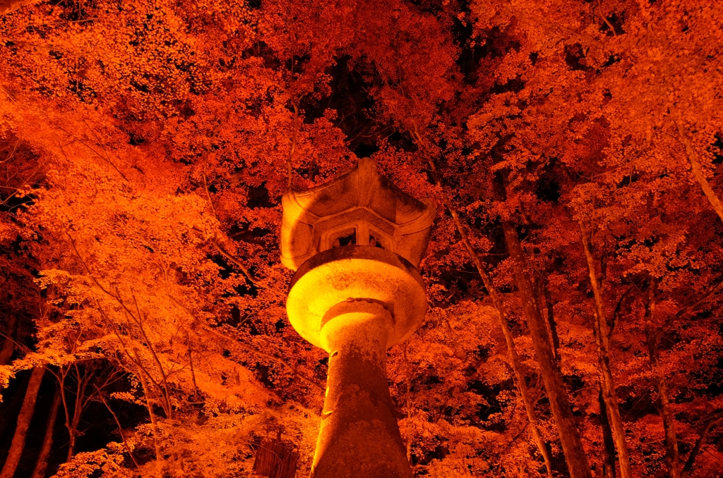 朱夜（あや）