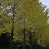 保土ヶ谷公園01